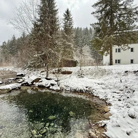 Apartment Treehouse - Alpinlake