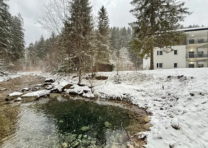Apartment Treehouse - Alpinlake