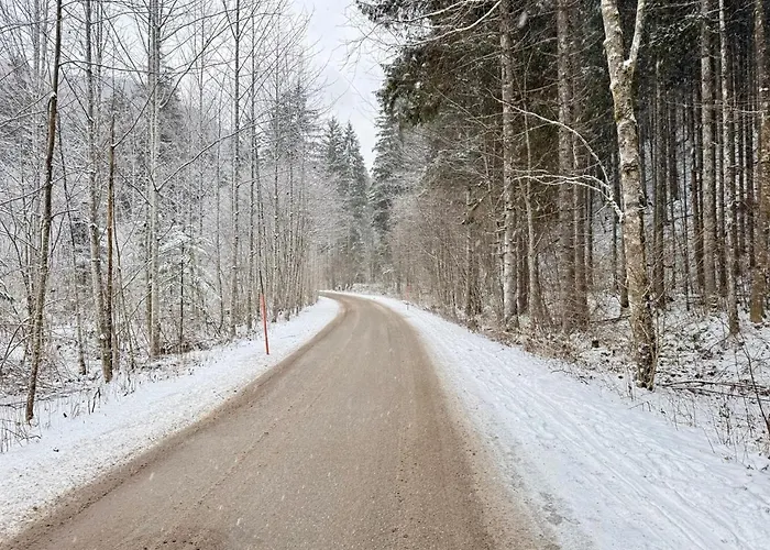 Апартаменты Treehouse - Alpinlake